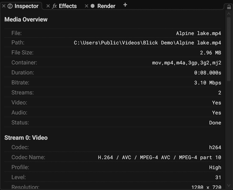 The Inspector panel with the details of the selected file